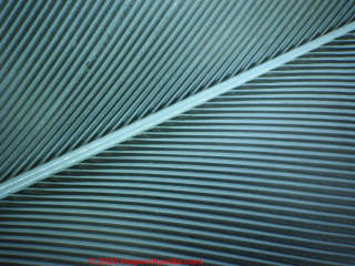 Hawk feather examined in the forensic lab (C) Daniel Friedman at InspectApedia.com