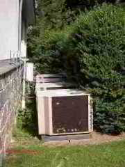 Photograph f an overgrown air conditioning condenser