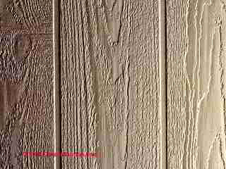 T-111 siding photo (C) Carson Dunlop Associates