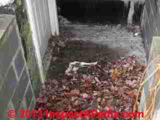 Debris and leaves easily clog this basement walkout stairwell drain (C) Daniel Friedman