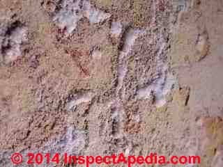 Colored stains and effloresence on a concrete wall, Queretaro, Mexico (C) Daniel Friedman