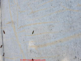 Orange Concrete Stains (C) Inspectapedia Josh