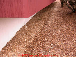 Mold odor traced to wall leaks (C) Daniel Friedman at InspectApedia.com