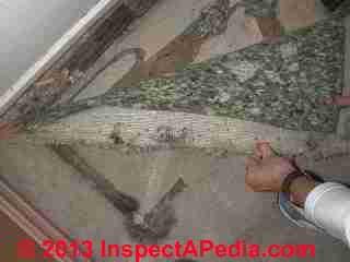 Carpet padding and carpet being investigated (C) Daniel Friedman