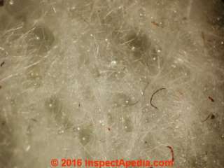 Mineral wool with cellulose inclusions from a 2002 home  (C) Daniel Friedman