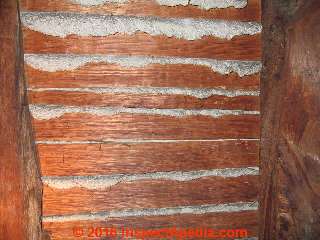 PHOTO of hand split lath and plaster ca 1800