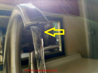 Black organic slime clog at a bathroom sink faucet (C) Daniel Friedman