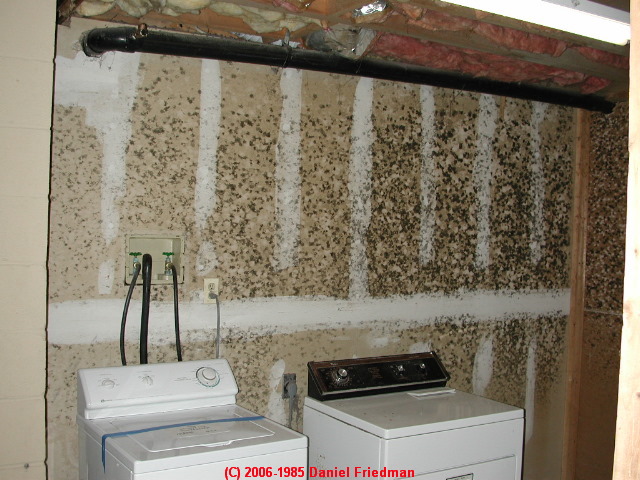 Mold on laundry room wall