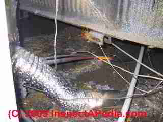 Mobile home crawl space (C) Daniel Friedman