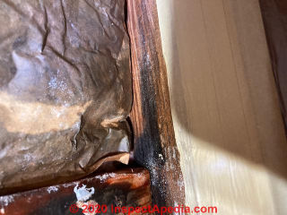 Moldy insulation due to inadequately-vented roof (C) InspectApedia.com DanK